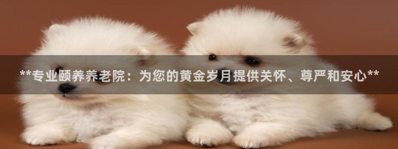 韦德1946手机网址