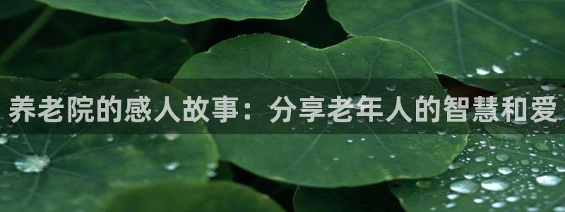1946韦德网站