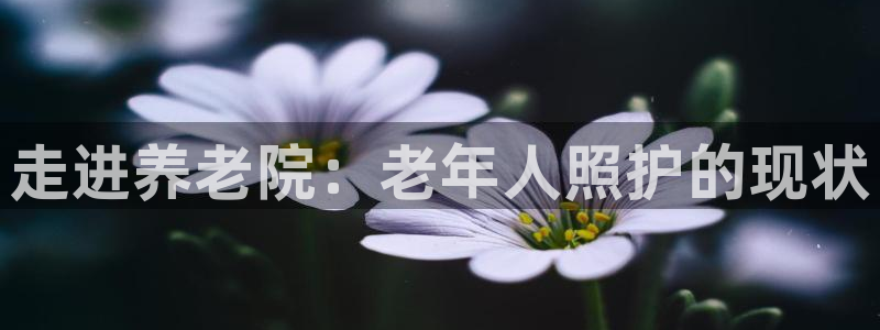 韦德是哪一届