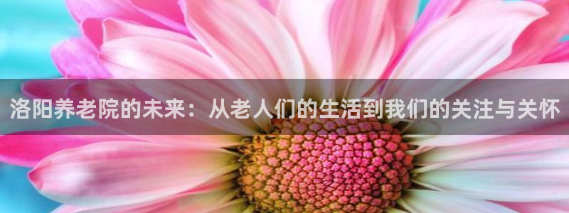 韦德1946手机