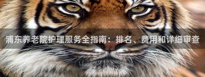 韦德 官网
