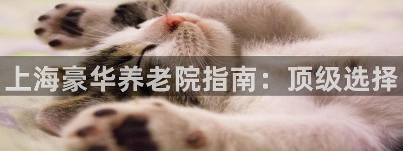 韦德游戏是什么