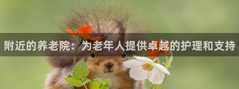 韦德1946手机