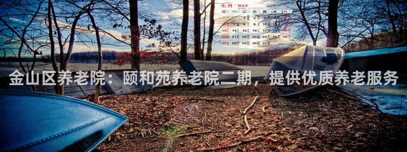 韦德是哪个