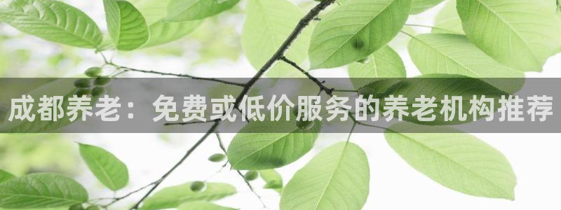 韦德新品