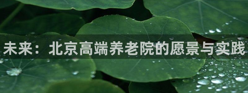 韦德8月22日开启中国行