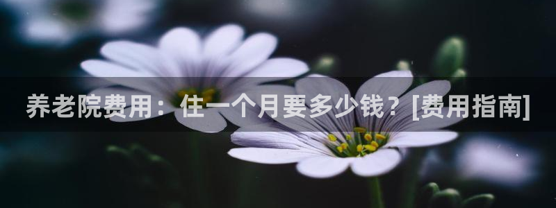 韦德观战总决赛G3