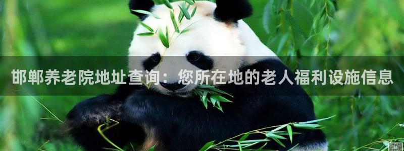 1946韦德网站
