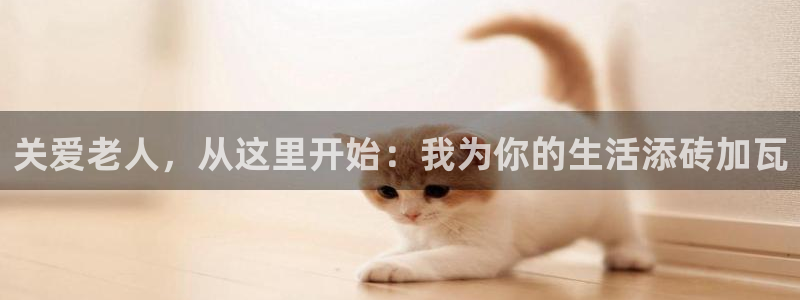 韦德2014