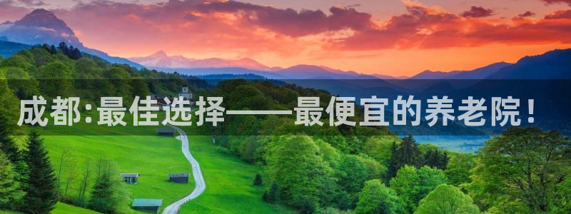 韦德官网在线