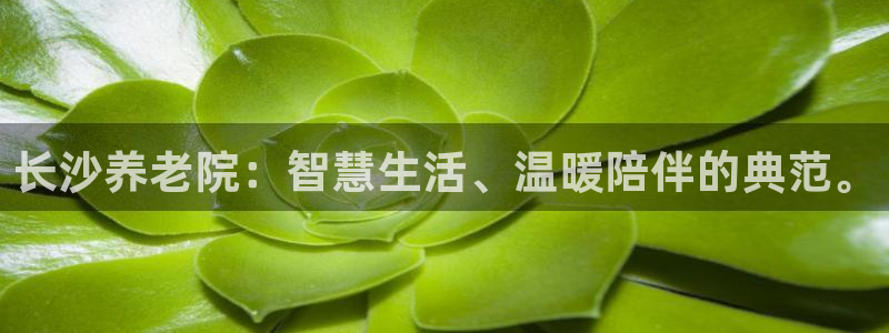 韦德betvictor