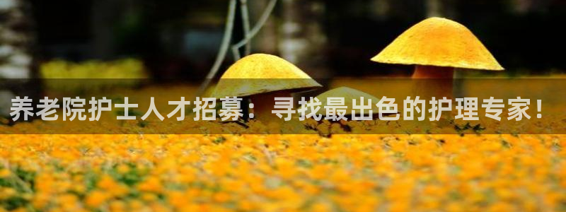 韦德1946手机