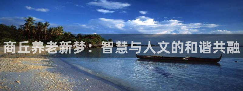 韦德 网站