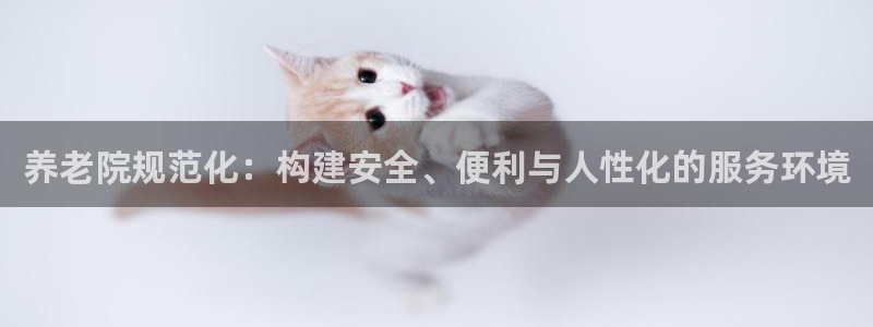 韦德1946备用网站