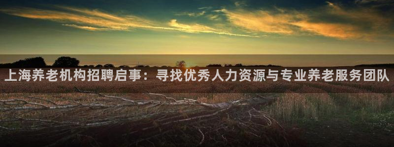 韦德官网注册推荐网站