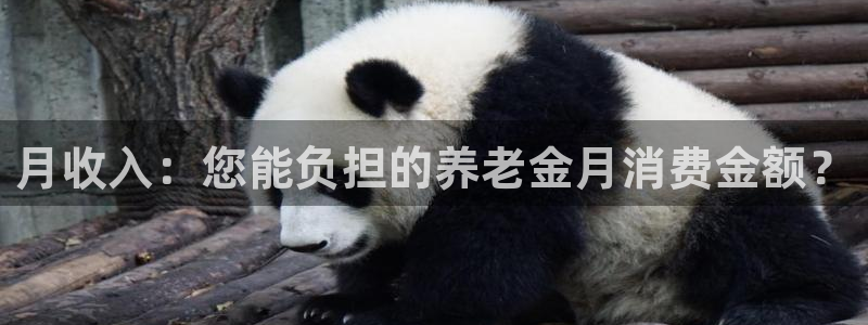 韦德官方网址大全