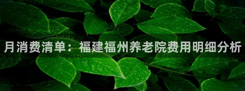 韦德 网址
