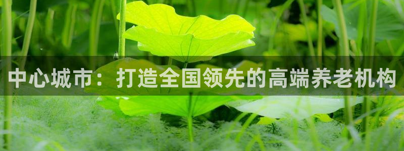 韦德游戏注册要用户口薄
