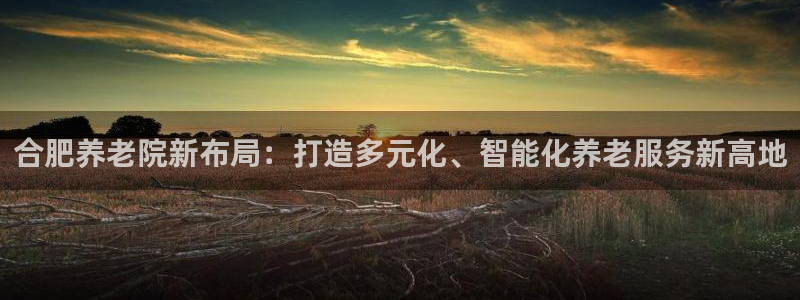 韦德网址是多少